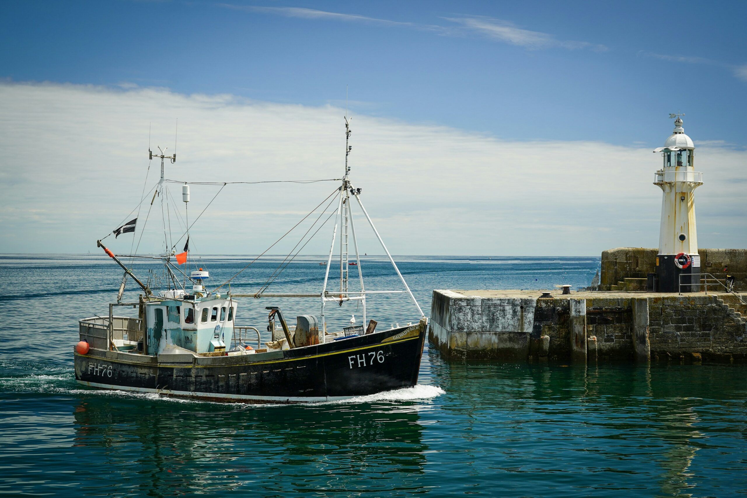 Photo by Nick Fewings on Unsplash